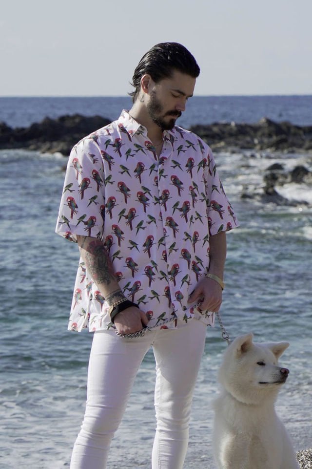 Pirate Oversized Unisex Mini Collar Exotic Parrot Print Wooden Button Shirt - Multi-color